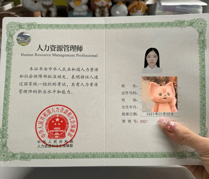 中级经济师-终于搞明白战略性人力资源了
